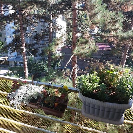 Londa Apartment Borjomi Exterior photo