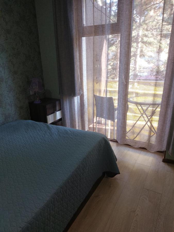 Londa Apartment Borjomi Exterior photo
